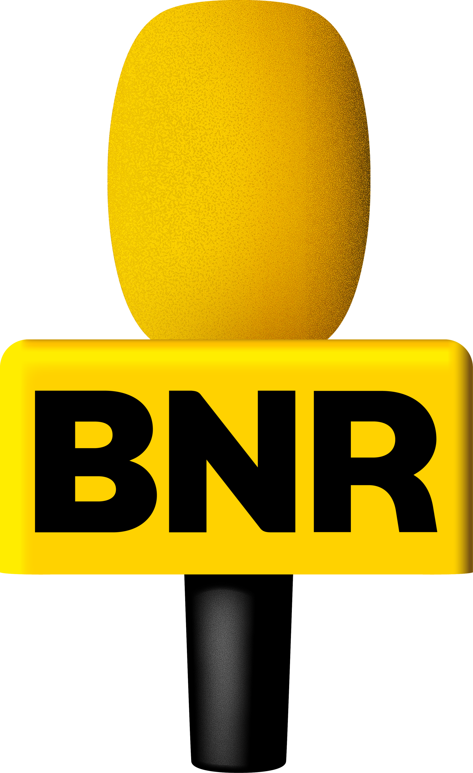 1_BNR - Logo - Microfoon - RGB POS